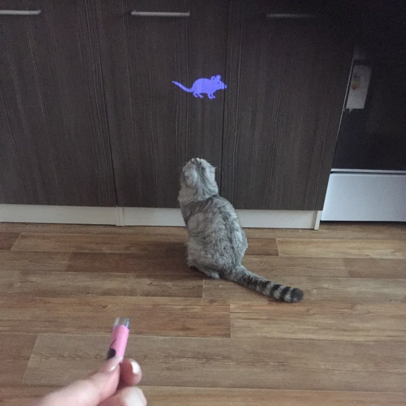 令人惊奇的是，猫玩具创意和有趣的宠物猫玩具带有明亮动画鼠标的LED指针光笔