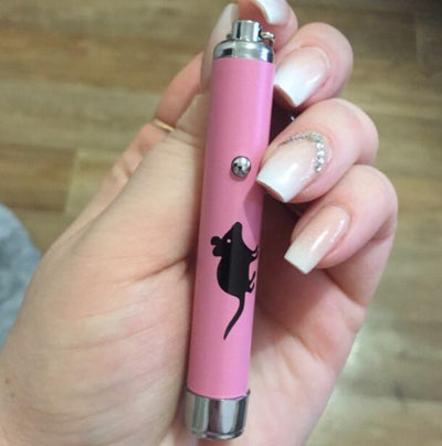 令人惊奇的是，猫玩具创意和有趣的宠物猫玩具带有明亮动画鼠标的LED指针光笔